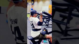 Target Your Lats Like Never Before  Leverage Lat Pulldown  Shorts backday lats fitness gym [upl. by Mikey]