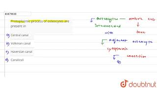 Protoplasmic process of osteocytes are present in [upl. by Cirdnek]