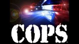 cops tv show full theme song [upl. by Stilla]