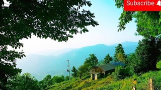 Murree forest hills and beautiful whather [upl. by Erdnad]