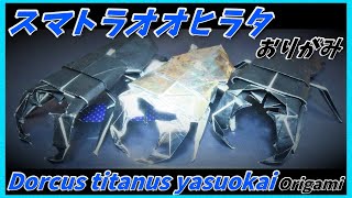 スマトラオオヒラタおりがみDorcus titanus yasuokai Origami苏门答腊大平田折纸수마트라 오오히라타 종이 접기 [upl. by Imorej640]