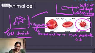 TonicityFundamental unit of lifePart 4Class 9th biology cbseboards2025 ncertscienceclass CTET [upl. by Joash]