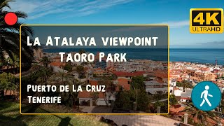 Taoro Park in Puerto de La Cruz Tenerife Park overview cafe fountain walk  4K [upl. by Airam]