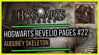 Hogwarts Castle Field Guide Revelio Pages 22 Augurey Skeleton [upl. by Haerdna]