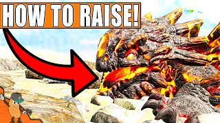 How To Raise amp Feed Magmasaur On Ark Lost Island UPDATED [upl. by Ahsataj]