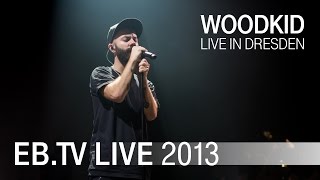 Woodkid live in Dresden 2013 [upl. by Beebe]