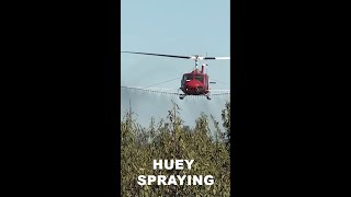 Vietnam veteran helicopter spraying almond trees shorts [upl. by Odnala]