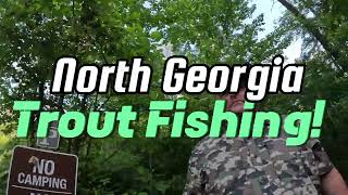 Trout Fishing North Georgia Part I Tallulah River Warwoman Earls Ford Soque River Saras Creek [upl. by Ecertak]