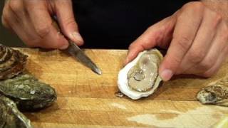 Oysters 101 Learn the Basics [upl. by Mettah]