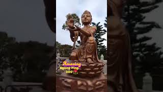 Nging Ping 360 Big Buddah [upl. by Earahc]