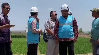 Jelang Nataru PLN UID JTY Sabet 5 Penghargaan Bergengsi ICA dan ISDA [upl. by Mylor]