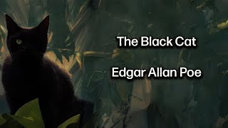 The Black Cat by Edgar Allan Poe Horror Audiobook [upl. by Elleiad595]