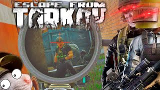 NEW Escape From Tarkov  Best Highlights amp Funny Moments 185 [upl. by Eelrac]