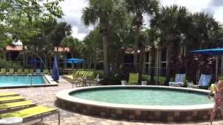 DoubleTree by Hilton Orlando at SeaWorld Hotel Tour [upl. by Norrag]