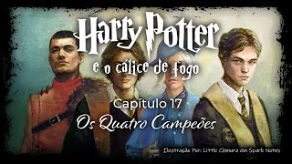 Harry Potter e o Cálice de Fogo  Capitulo 17  Os Quatro Campeões [upl. by Einaffit]