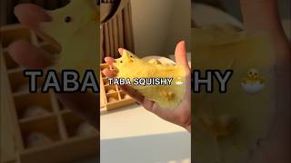 RESULTS I Made a VIRAL TABA SQUISHY 😱😳 How to Make a Taba Squishy Tutorial [upl. by Ribal724]