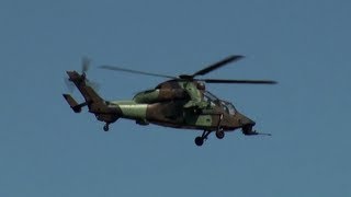 Flight demonstrations of 2 Tigers ValenceChabeuil  France  2012 [upl. by Ilyse]