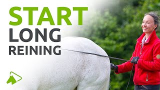 Long Reining Your Horse  How to Start  wehorse [upl. by Four]