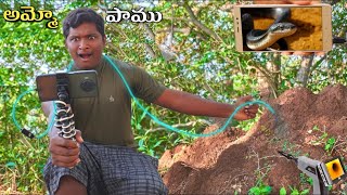 Entering Endoscopic 📸 Camera Into Snake🐍 House 🤯 shocking reaction [upl. by Raphael]