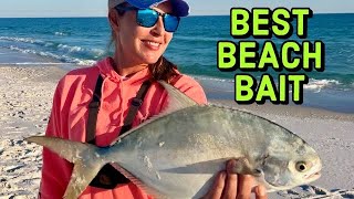 Surf Fishing for Florida POMPANO Catch Clean Cook Nut Encrusted with Coconut Sauce [upl. by Aietal721]