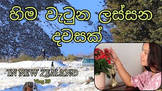 අපිටත් හිම වැටුන  😍  සිංහල VLOG 39  New Zealand  Sri Lankan  Sinhala vlog [upl. by Saval]