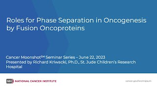 Roles for Phase Separation in Oncogenesis by Fusion Oncoproteins [upl. by Sirtaeb]