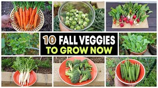 Top 10 Vegetables to grow in Fall amp through Winter [upl. by Balf]