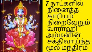 7 நாட்களில் நினைத்த காரியம் நிறைவேற வாராஹி மூல மந்திரம் varahi moola mantra in tamil [upl. by Paulina545]