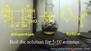 The method of furfural synthesis and its detection [upl. by Delfeena905]