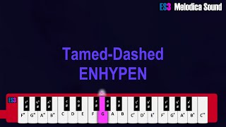 TamedDashed  ENHYPEN Melodica Tutorial [upl. by Kcirevam]