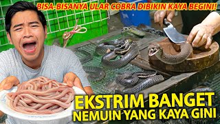 EKSTRIM BANGET ULAR COBRA DIMAKAN DAN DIMINUM DARAHNYA KOK ADA YA YANG KAYA BEGINI [upl. by Raines427]