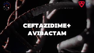 CeftazidimeAvibactam 🦠 [upl. by Ardnik996]