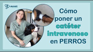 CÓMO PONER UN CATÉTER INTRAVENOSO EN PERROS  Lauvet [upl. by Parnas]