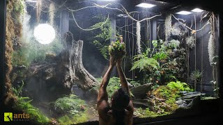 I Added Carnivorous Pitcher Plants into My Giant Rainforest Vivarium [upl. by Cormick]