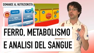 Ferro metabolismo e analisi del sangue [upl. by Pepillo153]