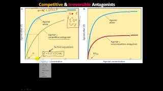 pharm4  ReceptorEffector and Spare Receptors Competitive Irreversible amp chemical Antagonists [upl. by Butterfield774]