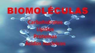 BIOMOLÉCULAS Carbohidratos lípidos proteínas y ácidos nucleicos [upl. by Fairfield]