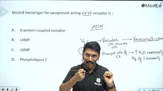 Second messenger for vasopressin acting via V1 receptor is [upl. by Nodnart]