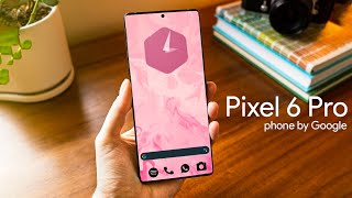 Google Pixel 6  EVERYTHING YOU NEED TO SEE [upl. by Luci]