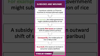 How to Analyse Subsidies amp Consumer Welfare  60 Second Economics  ALevel amp IB [upl. by Arym]