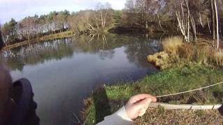 Trout Fishing At Whitesheet Lakes  Hampshire [upl. by Sarajane]