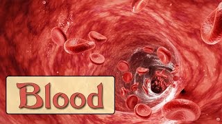 Easy Physiology  Blood  Introduction amp Plasma Proteins [upl. by Odessa]