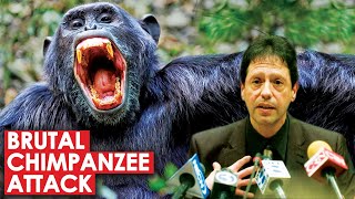 Brutal Chimpanzee Attack and The Cop That Intervened  The Story of Travis [upl. by Verne547]