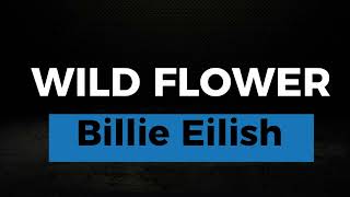 WILD FLOWER KARAOKE BILLIE EILISH [upl. by Namyl706]