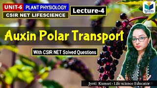 TRANSPORT OF AUXIN  PHYTOHORMONE PART4CSIR NET PLANT BIOLOGY [upl. by Kelila154]