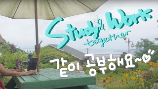 Study👩🏻‍💻work together in nature🌱wear pants🧦😄🏕️ background grass bugs sound ambience asmr korea sea [upl. by Adnylem979]