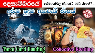 දෙසැම්බර් මාසයේ ඔයාට මොනවද වෙන්නේWhat Is Happening to You in December Tarot Reading for Insight [upl. by Blain]