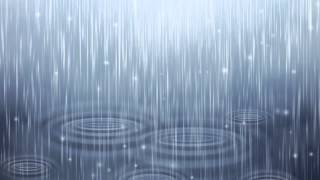 Nature Sounds Rain Sounds One Hour for Sleeping Sleep Aid for Everybody [upl. by Tina]