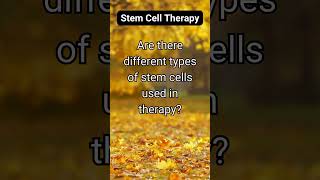 Are there different types of stem cells used in therapy [upl. by Adnole]