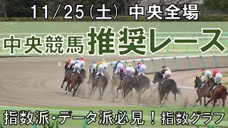 1125土 中央競馬全場から推奨レースを紹介【中央競馬 指数グラフ・予想・攻略】東京競馬、京都競馬 [upl. by Margetts]